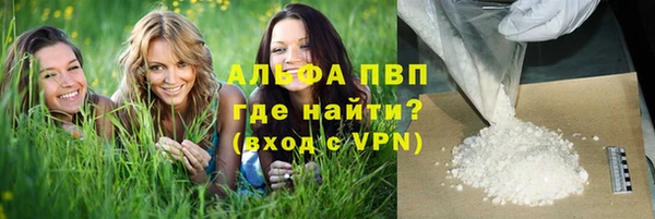 СК Беломорск