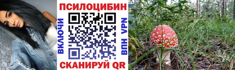Галлюциногенные грибы GOLDEN TEACHER  Купить закладки  Медвежьегорск 